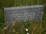 image of grave number 11445